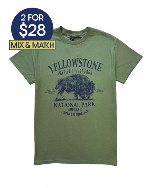 Yellowstone America's 250th Anniversary Awestruck Bison T-Shirt