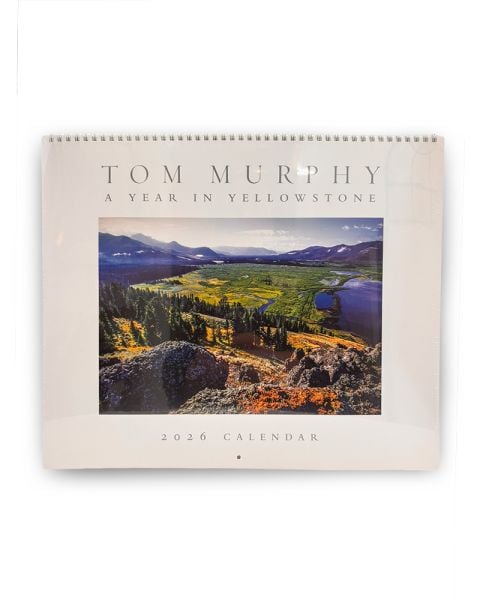 Tom Murphy 2026 Calendar