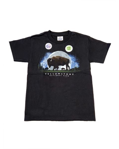 Yellowstone Night Sky Youth T-Shirt