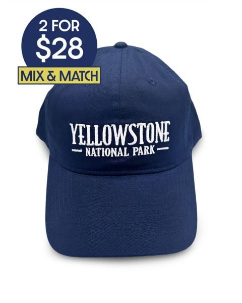 Yellowstone Navy Blue Cap