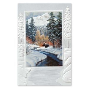 Winter Blanket Boxed Holiday Cards