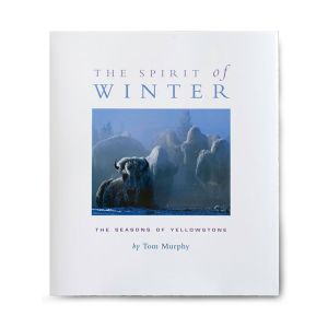 The Spirit of Winter by Tom Murphy
