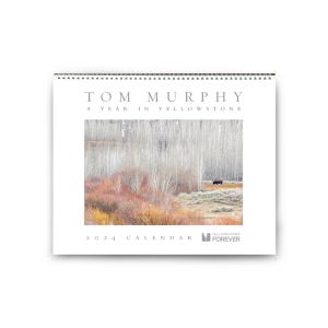 Tom Murphy 2024 Calendar
