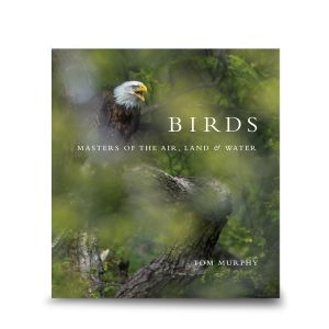 Birds by Tom Murphy