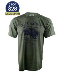 Awestruck Bison T-Shirt- Loden Green 