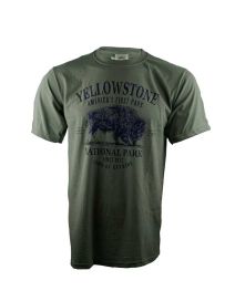 Awestruck Bison T-Shirt- Loden Green 