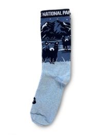 Night Time Bear Socks
