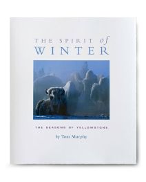 The Spirit of Winter by Tom Murphy