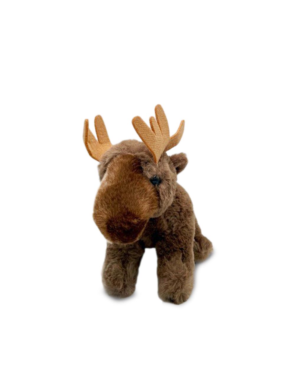 Moose teddy online